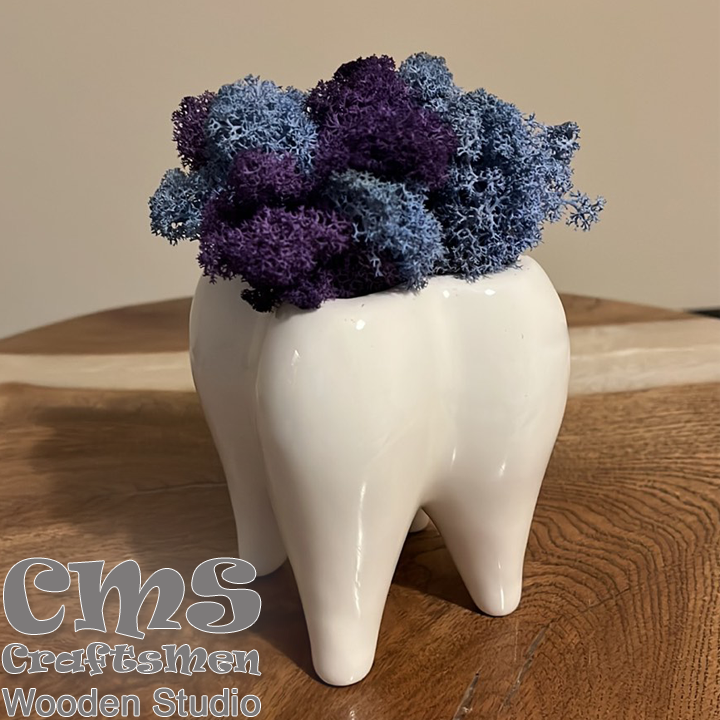 Crafts Men Studio Tooth with Scandinavian moss