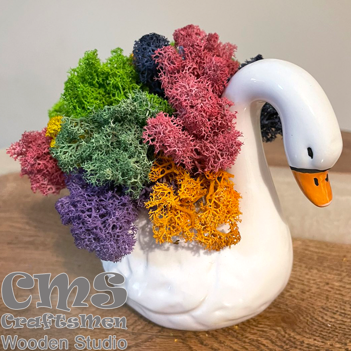 Crafts Men Studio      "Colorful"