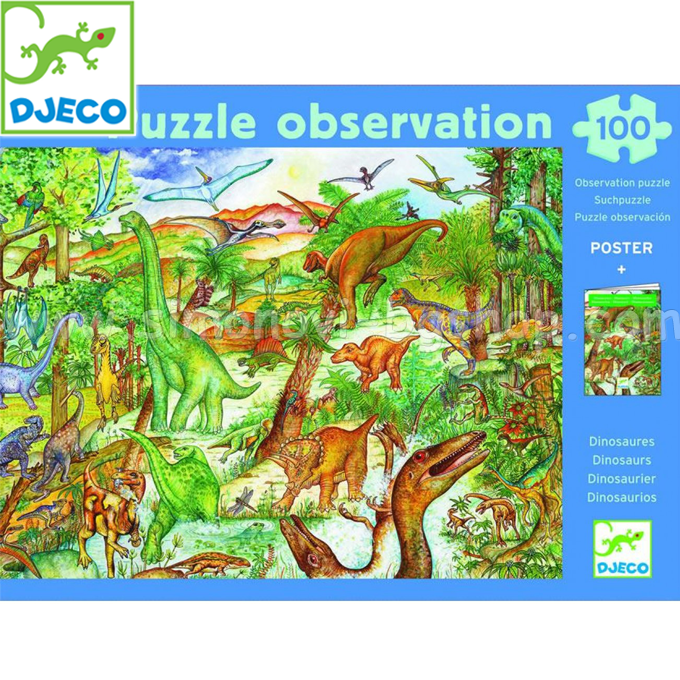 Djeco - ����� ����������� + ������ 100 ����� DJ07424