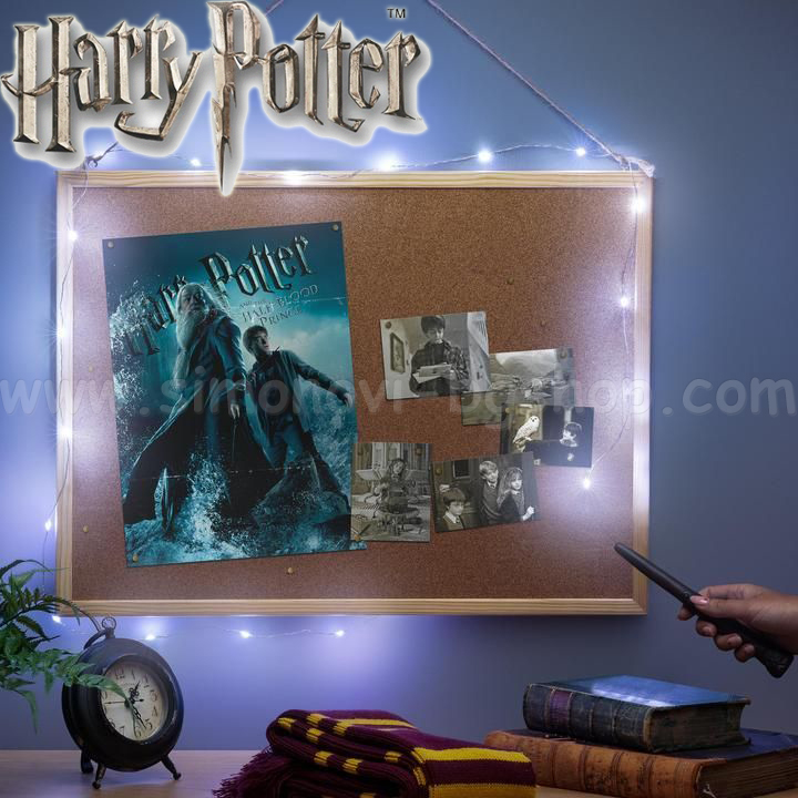 Harry Potter      PP9651HP