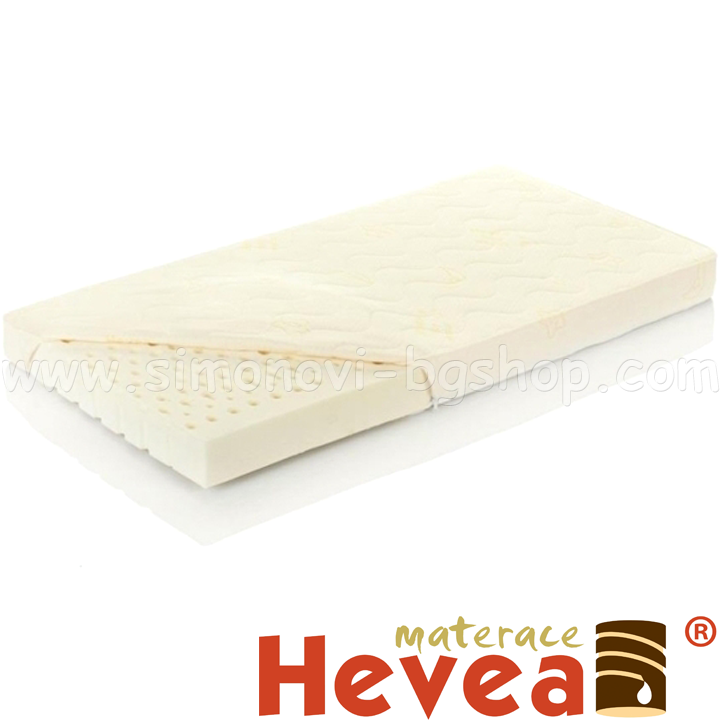 Hevea -   Baby Aloe Vera 60/120 .