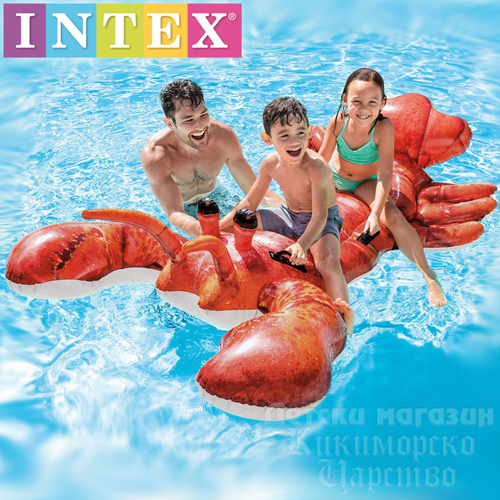 *Intex    57533NP