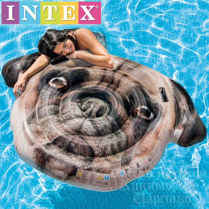 *Intex    58785EU
