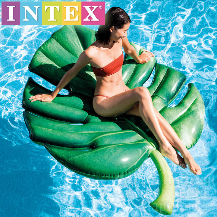 *Intex    58782EU
