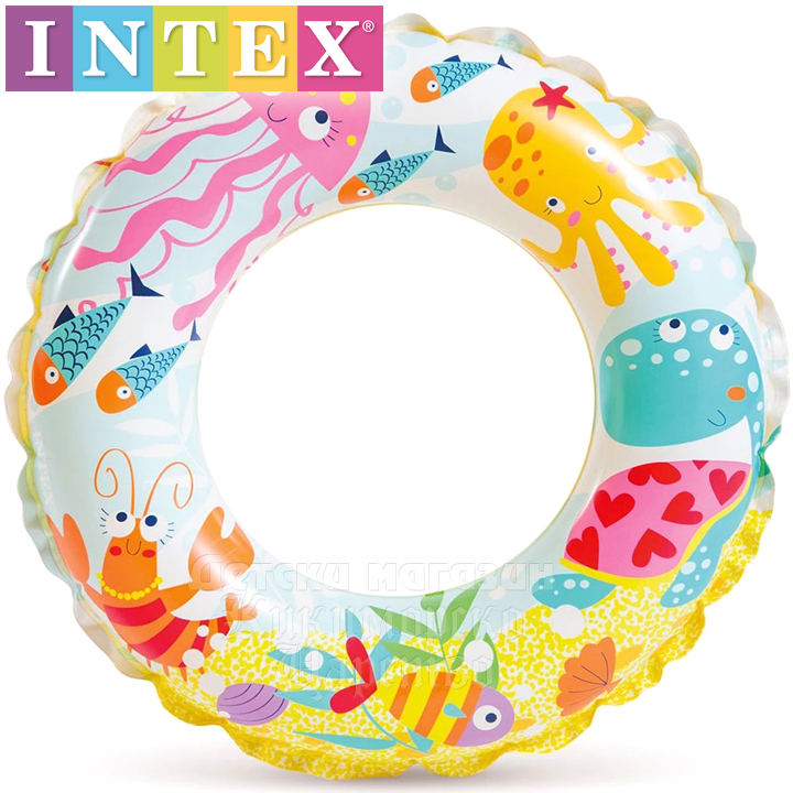 Intex     " " 56205NP