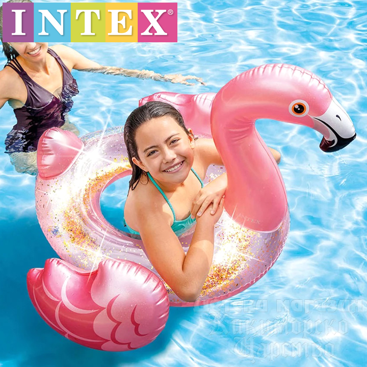 Intex      56251NP