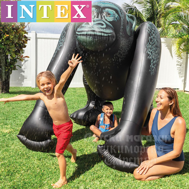 Intex    56595NP