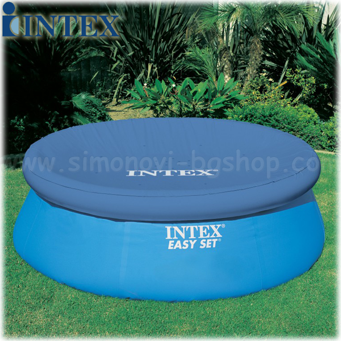 *  Intex    244 . 58939