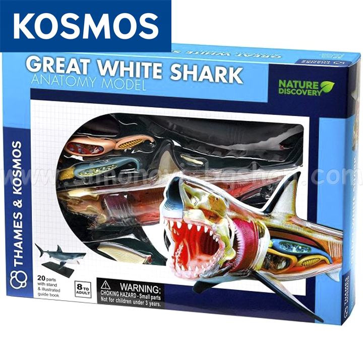 Kosmos      261110