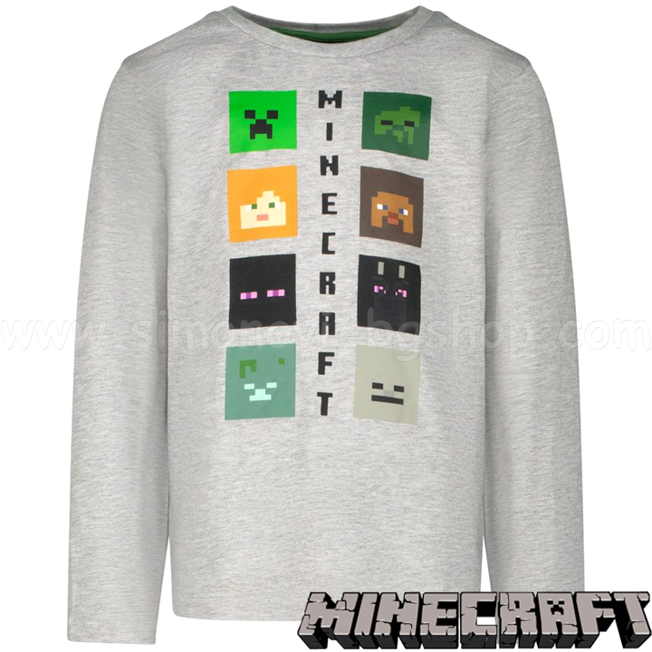 * 2022Minecraft    Heroes Skins LogoGC-MNCT-257