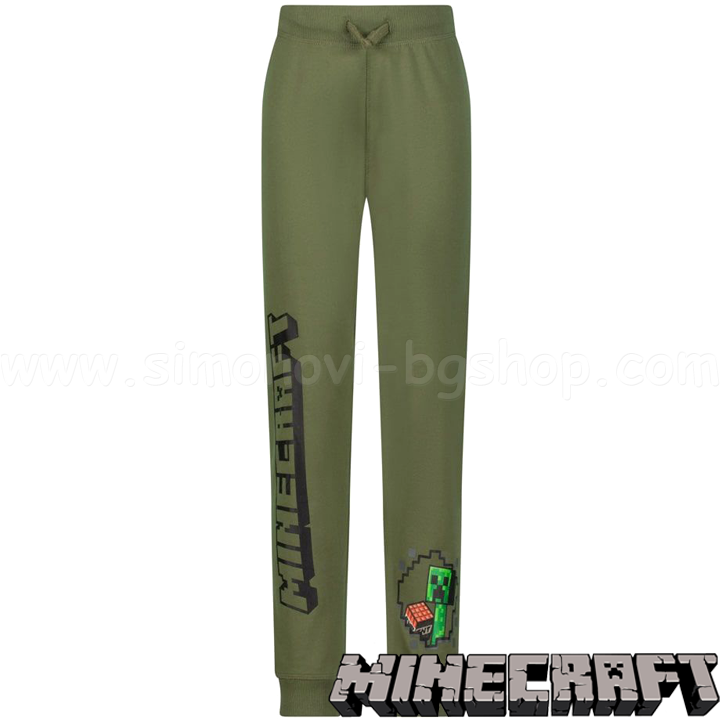 * 2022 Minecraft   TNTGC-MNCT-276