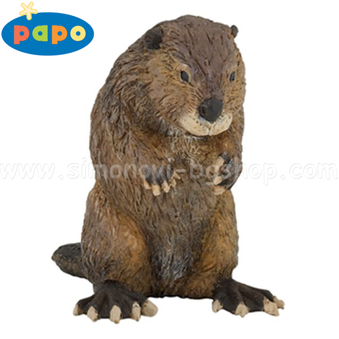 Papo - ����� ���� ������� - ������� ����� 50110