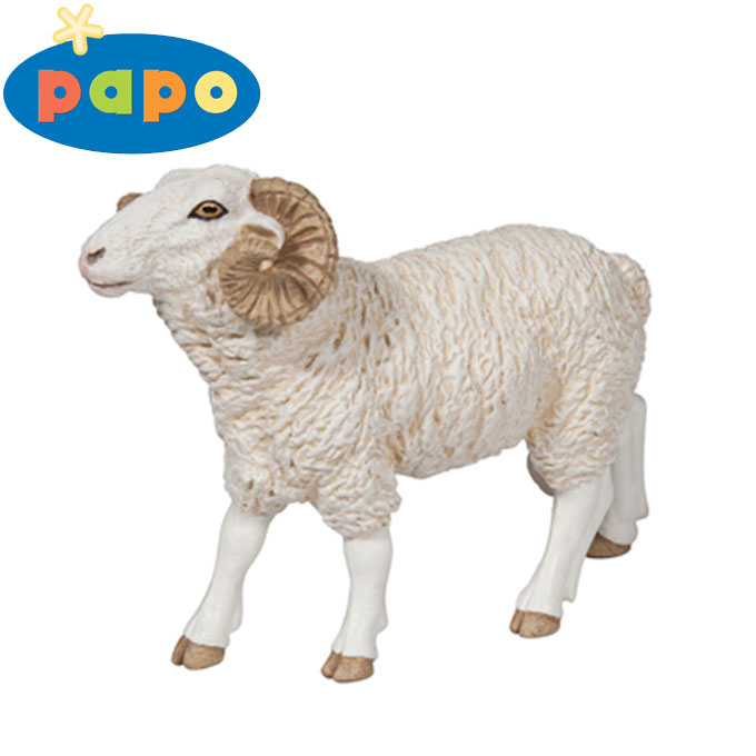 Papo - ����� ������� ������� - ������� ���� 51129