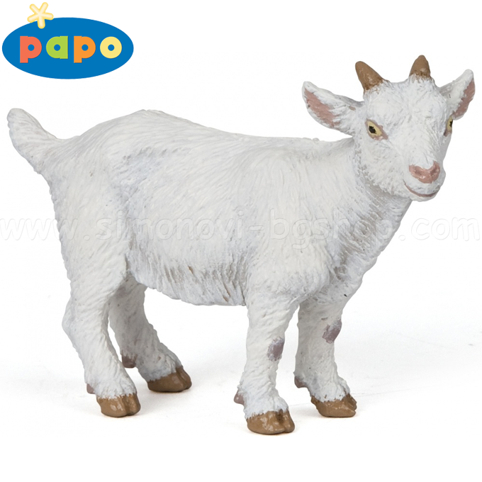 Papo - ����� ������� ������� - ������� ���� ����� 51146