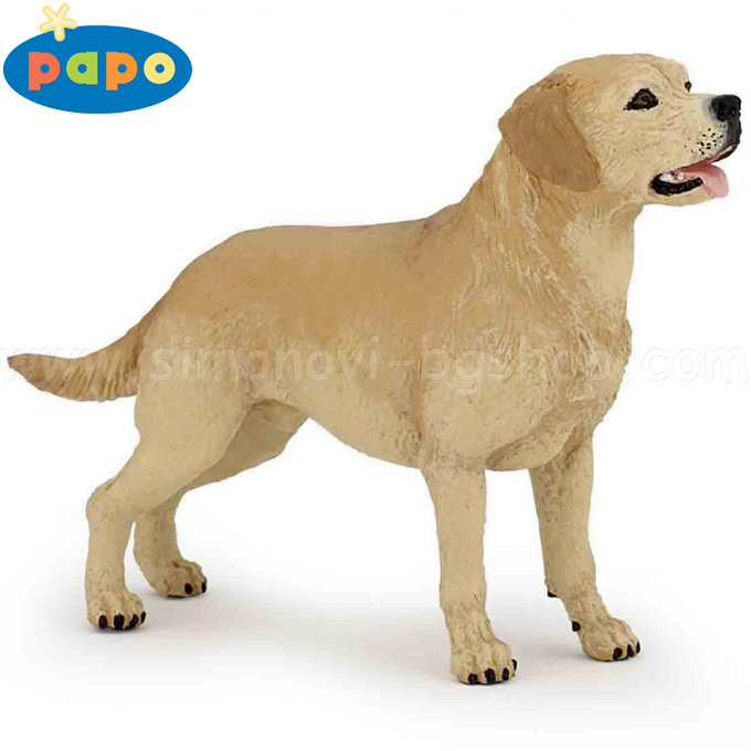 Papo - ����� ������� ������� - ������� �������� 54029