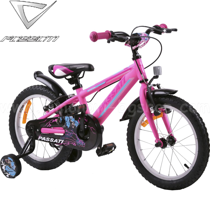Passati Bicycle Master 12 inches Pink