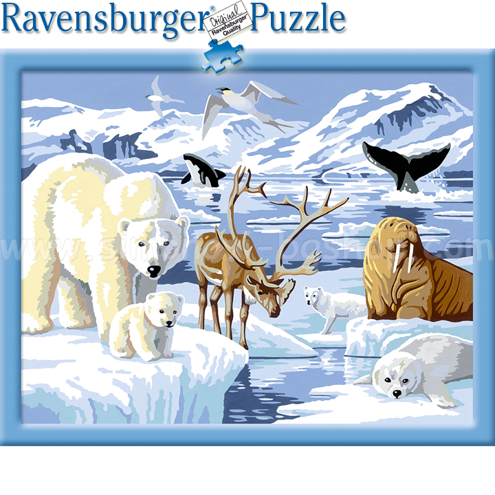 Ravensburger Painting Gallery Polar Animals 28422