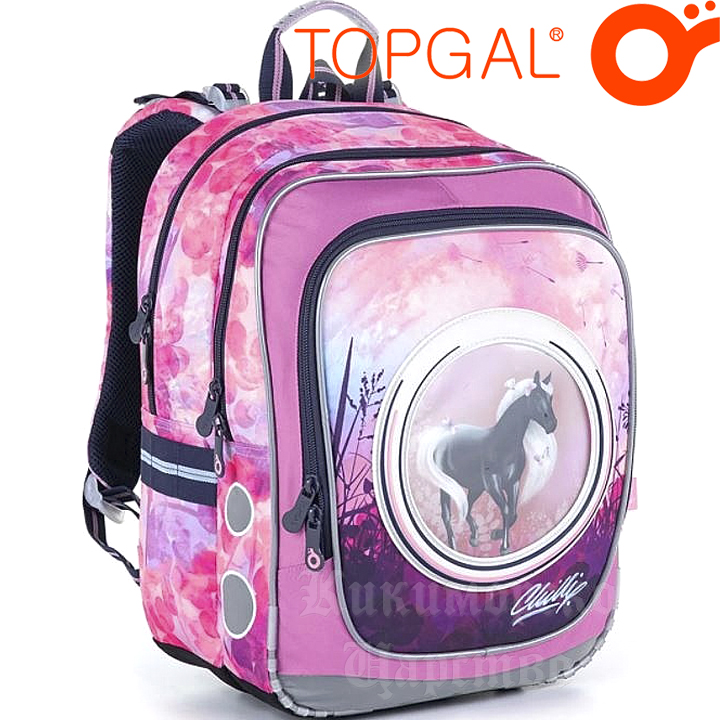 Topgal Chilli Ergonomic school backpack ENDY 21005 G